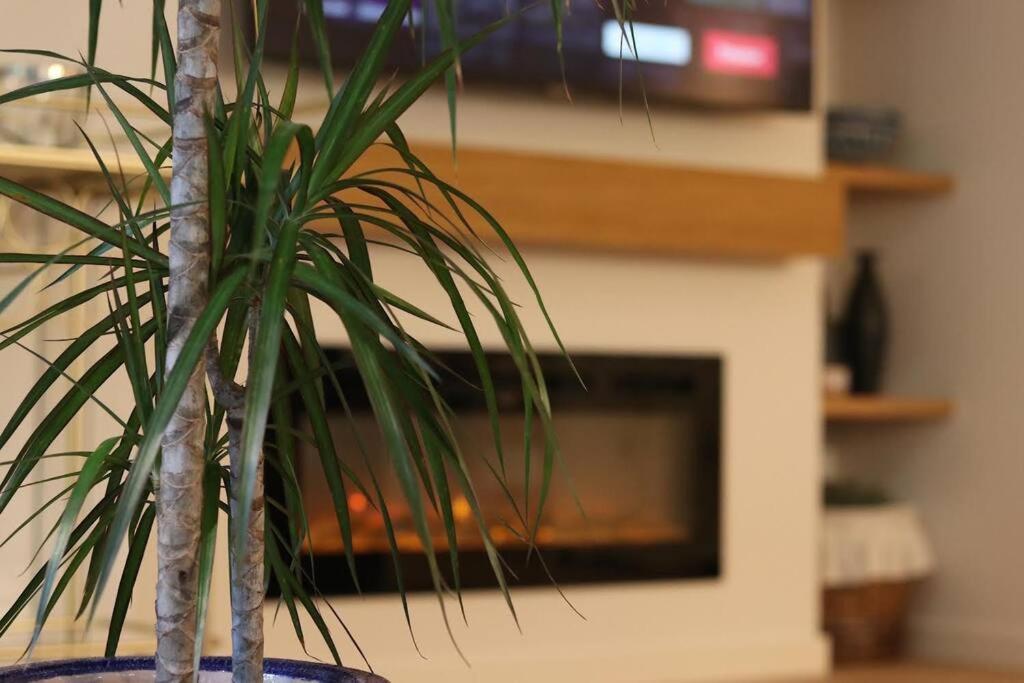 Lc Apartaments Voramar Benicàssim Exteriér fotografie